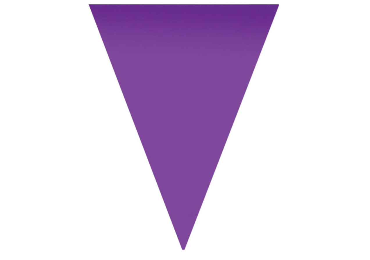 Fanions 5 M Violet