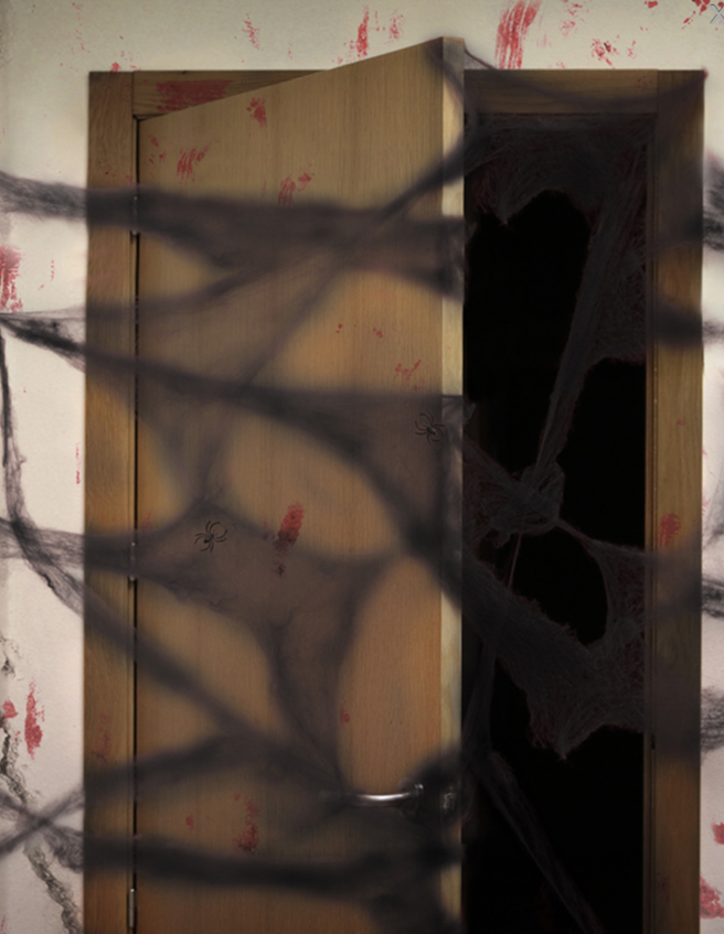 Décoration toile d'araignée noire avec araignées 20 g Halloween