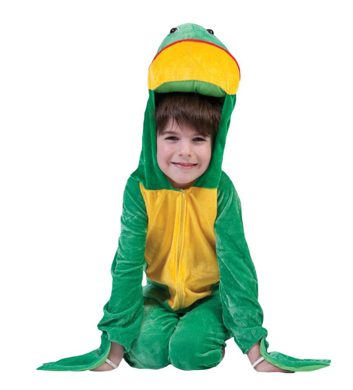 Déguisement grenouille