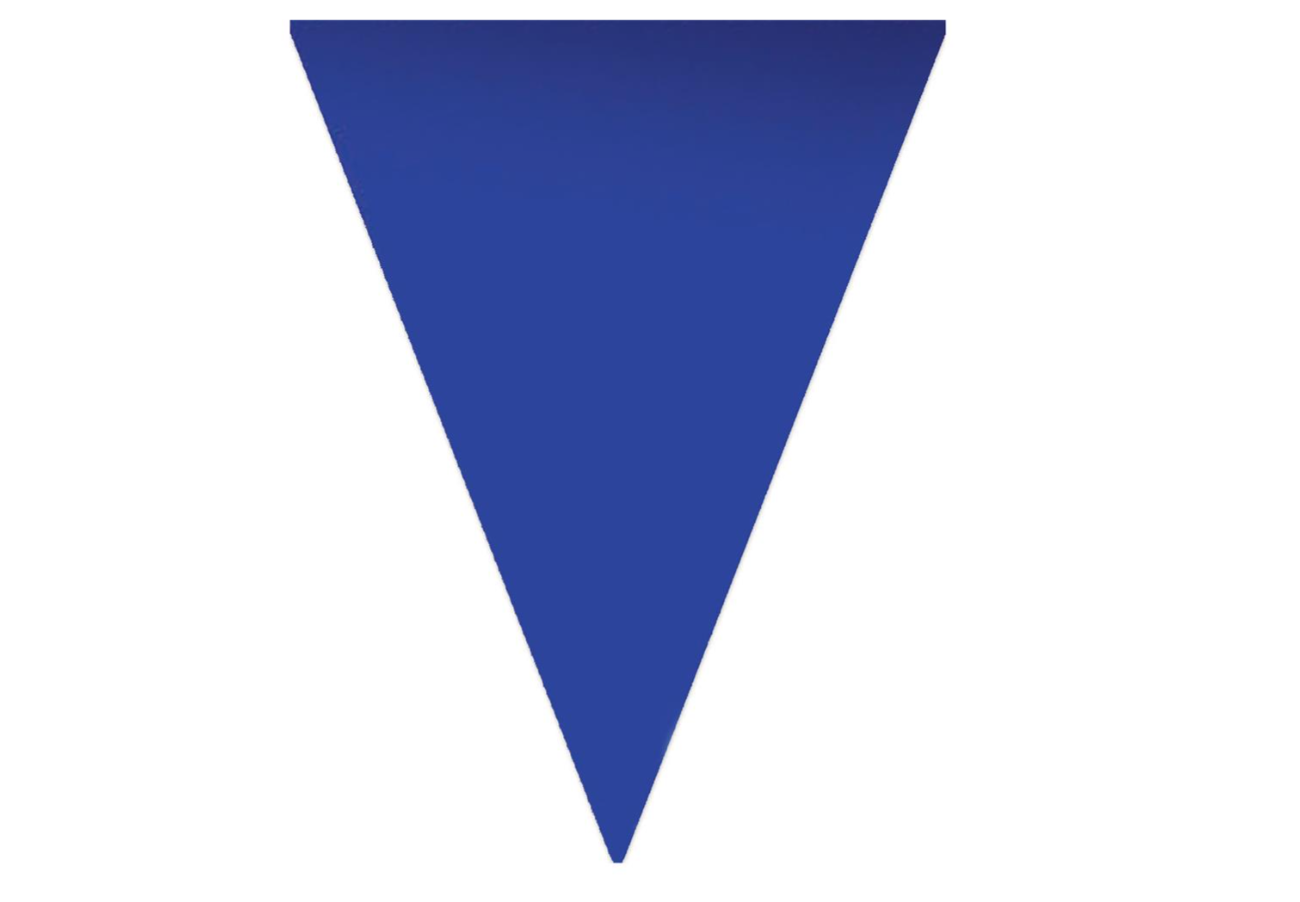 Fanions bleu 5 M