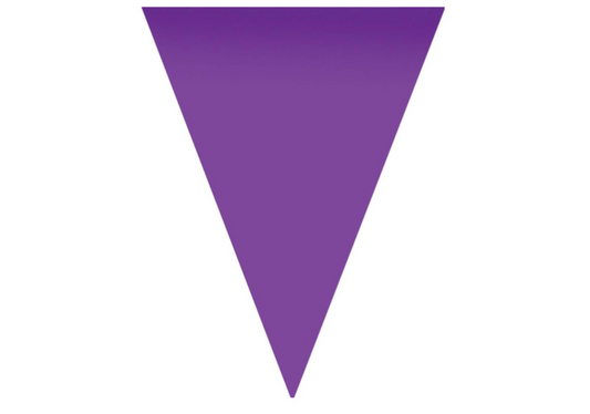 Fanions 5 M Violet