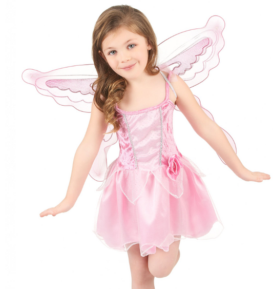 Déguisement fée papillon fille