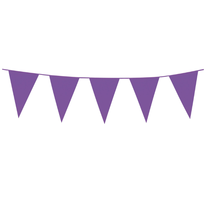 Guirlande à mini fanions violets 3 m