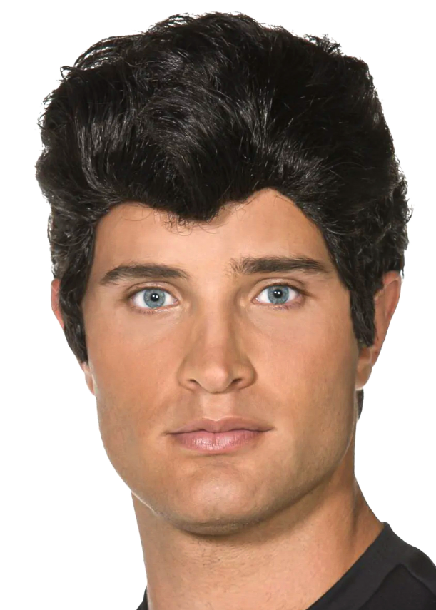 Perruque Grease™ homme