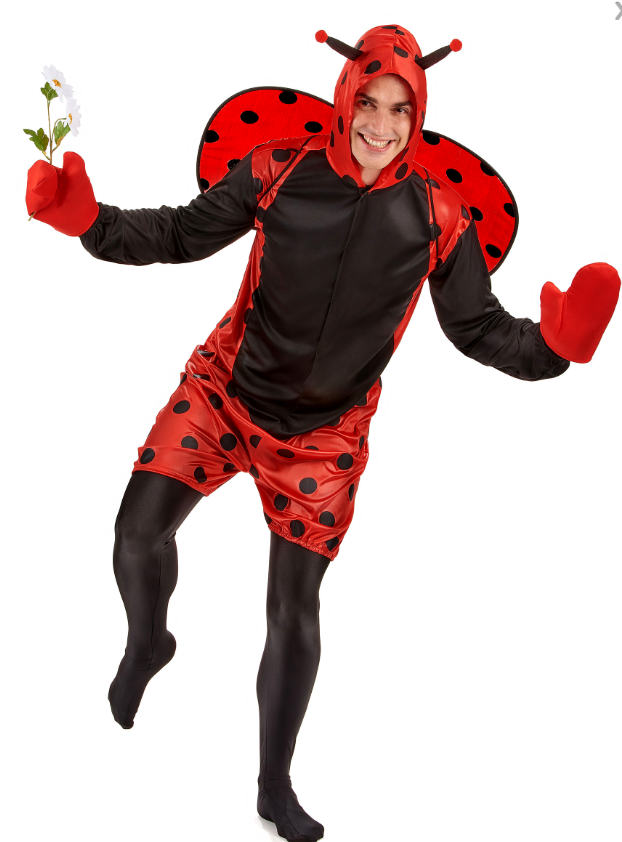 Déguisement coccinelle adulte